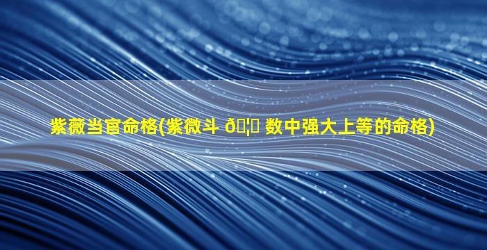 紫薇当官命格(紫微斗 🦟 数中强大上等的命格)